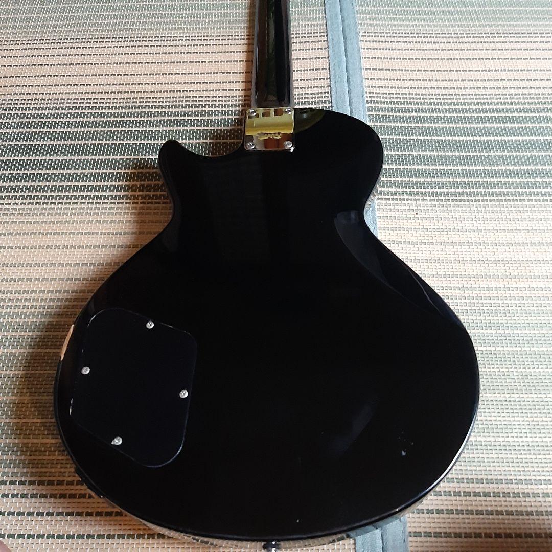 ESP グラスルーツ GrassRoots レスポール ソフトケース、オマケ付き