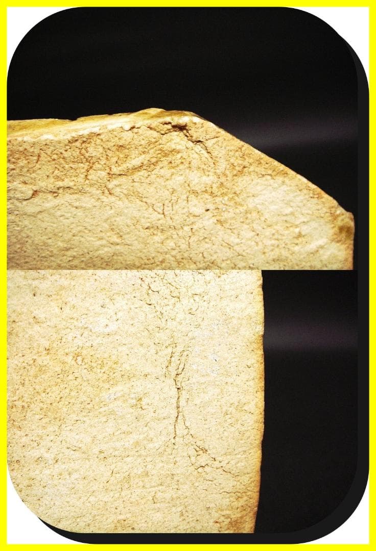 ma602⑤『黄瀬戸 菖蒲 隅切皿』＊　/骨董品 古美術 古道具 アンティーク