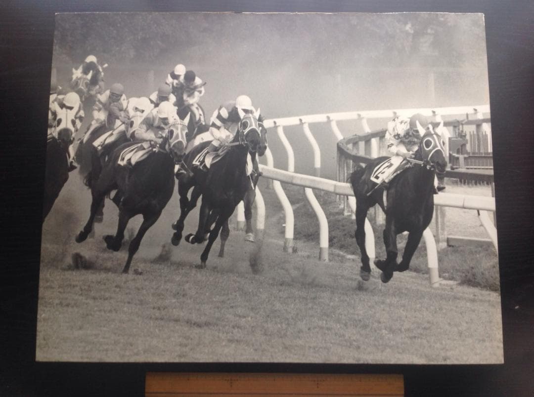 競馬パネル：カブラヤオー「1975年 第42回東京優駿」