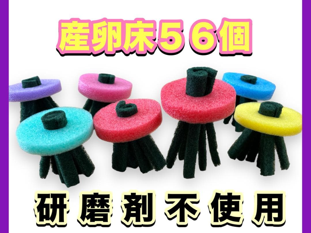 産卵床56個×５セット　280個まとめ売りショート　☆ジャンボ大福出品☆