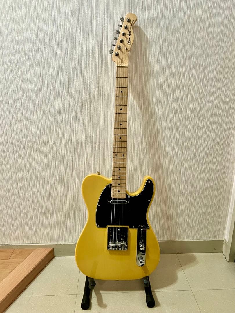 Bacchus BTE-1/M BBD バッカス テレキャスタイプ スタンド付き