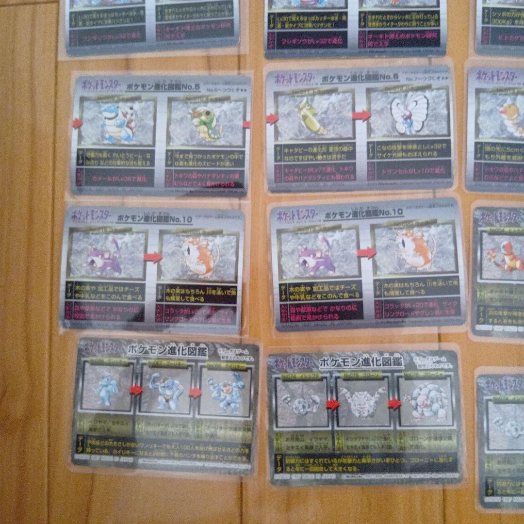 ポケモン進化図鑑カード、レンズまとめ売り