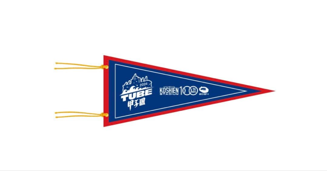 阪神優勝記念セール！TUBE 甲子園100周年記念限定　ロゴ入りボール　ペナント
