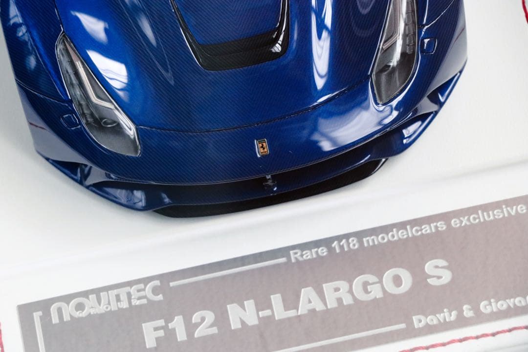 D&G Davis Giovanni F12 N-LARGO フルカーボン