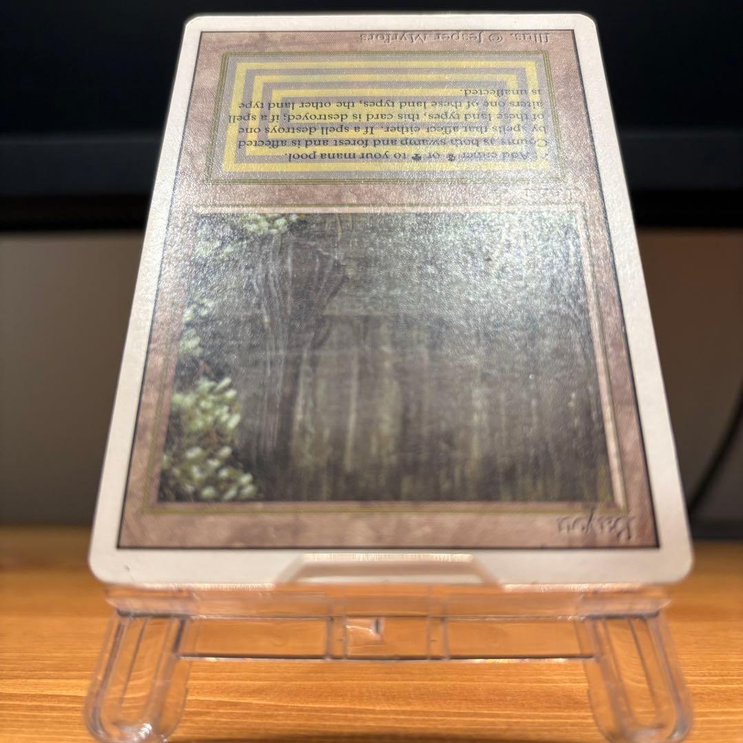 [EX-]Bayou 3ED EN リバイズド デュアルランド MTG