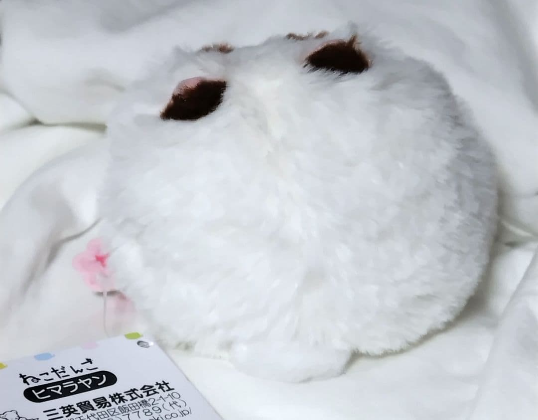 ねこだんご ヒマラヤン