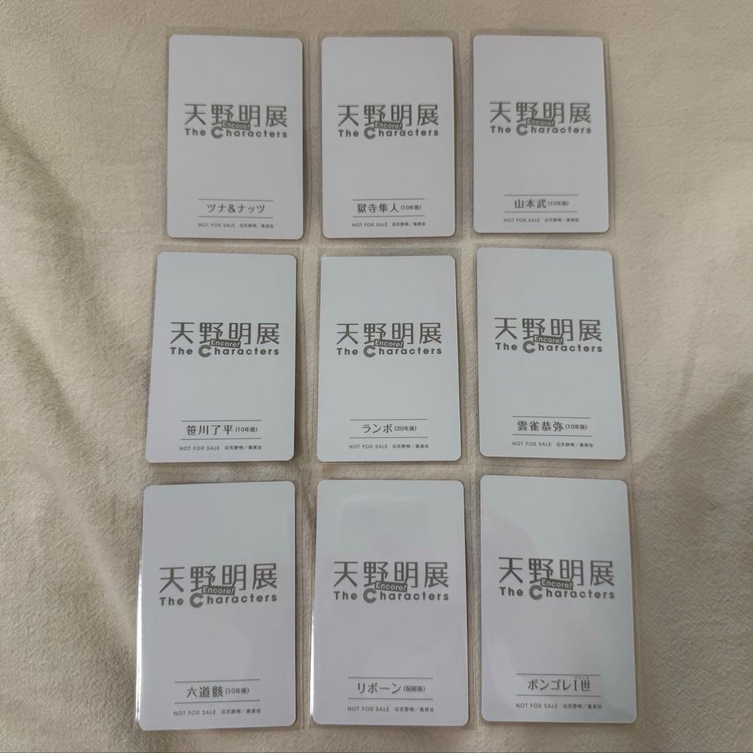 家庭教師ヒットマンREBORN! 天野明展 自撮り風カード 全種セット