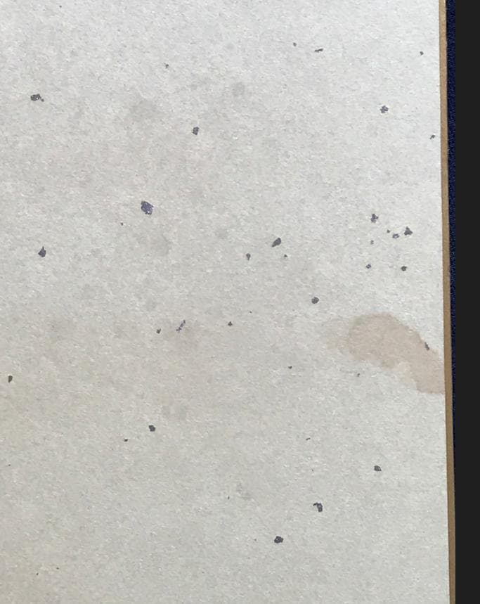 ・ZARD 坂井泉水　直筆「色紙」