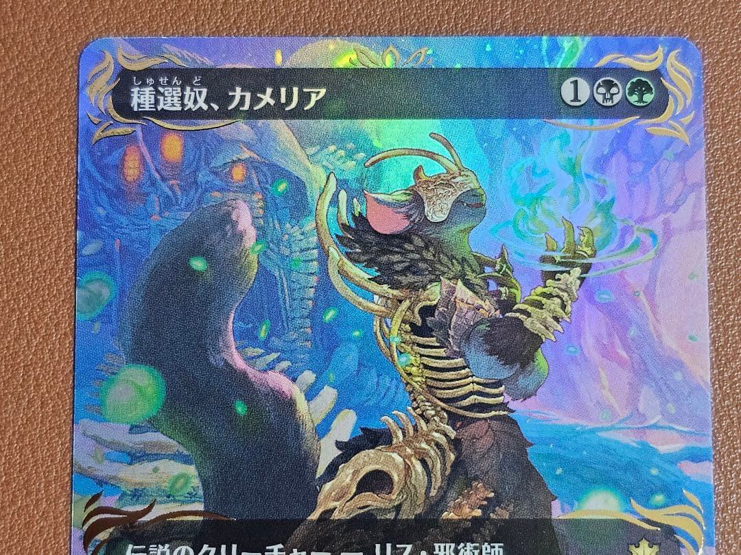 MTG 種選奴、カメリア　レイズドfoil