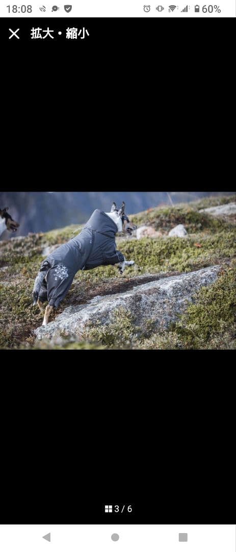 □フルッタ エクストリームオーバーオール グレー 30S