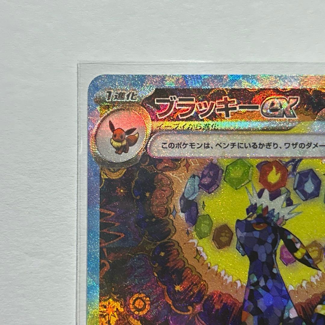 テラスタルフェスex ブイズ まとめ売り