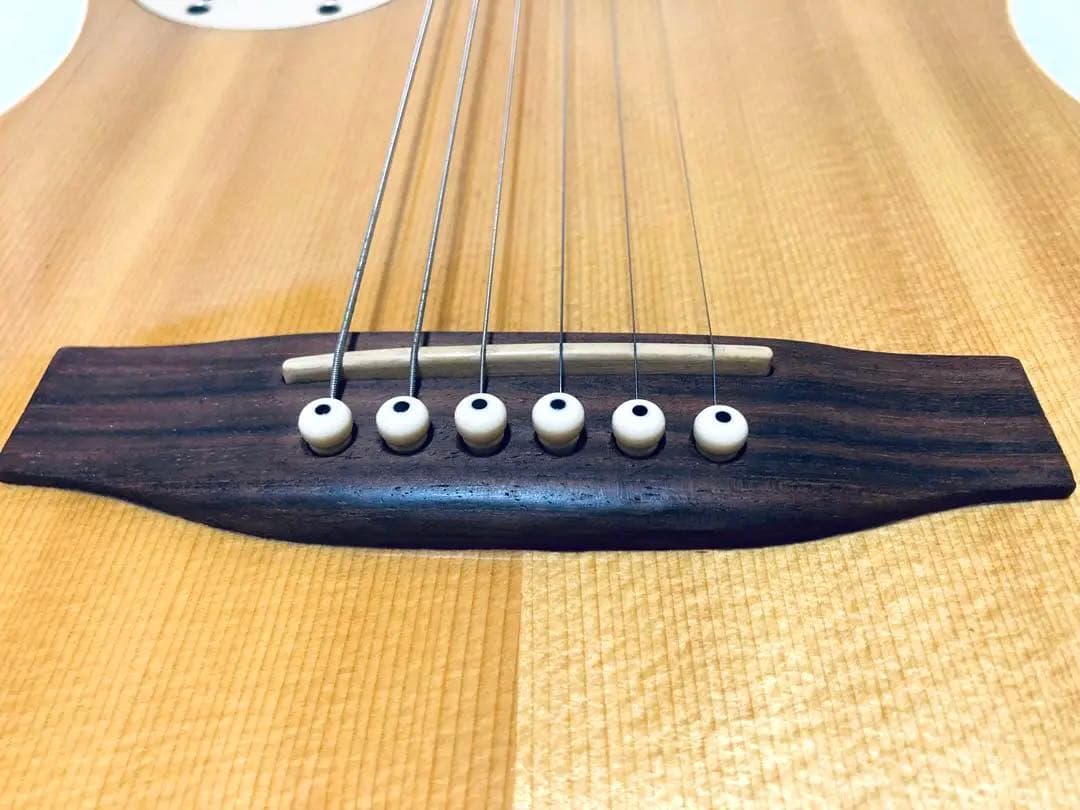 Godin L.R.Baggs Acousticaster ゴダン 美品