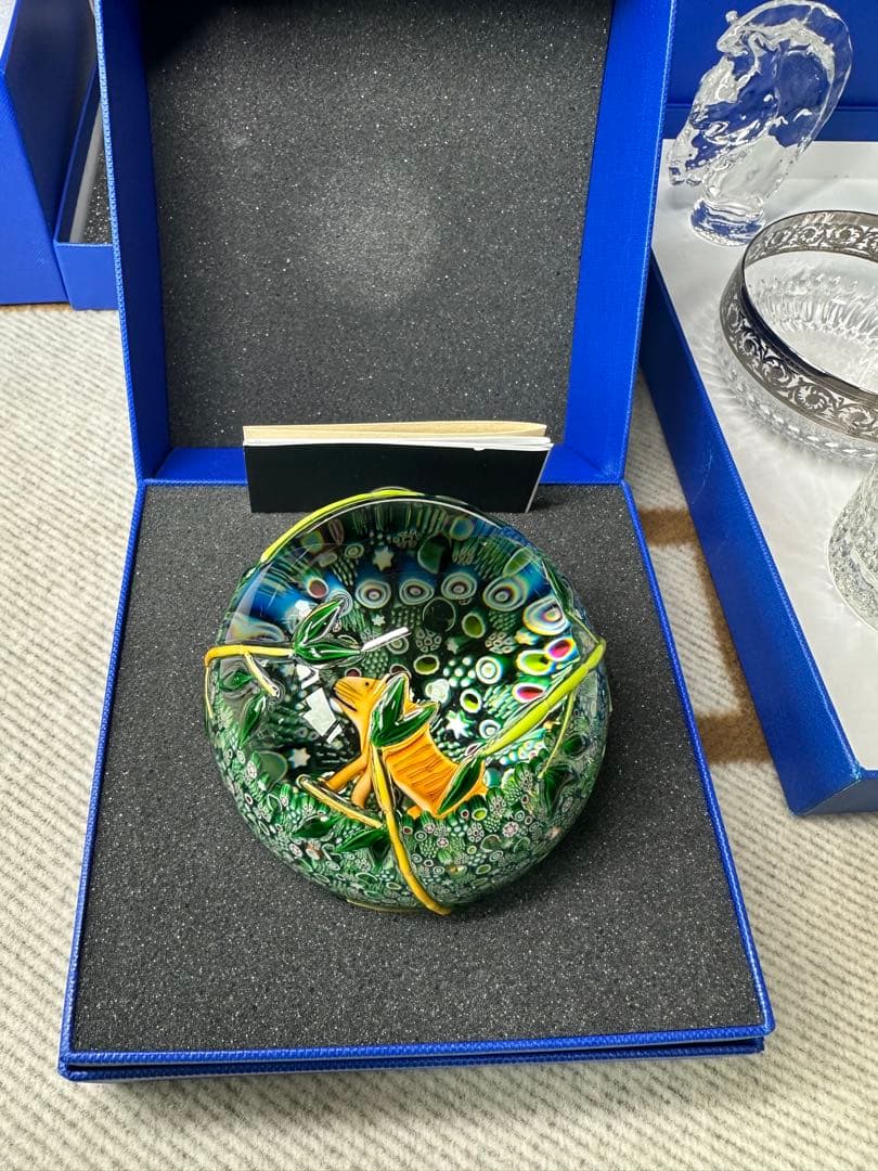 Hermes SAINT LOUIS 虎 新品未使用