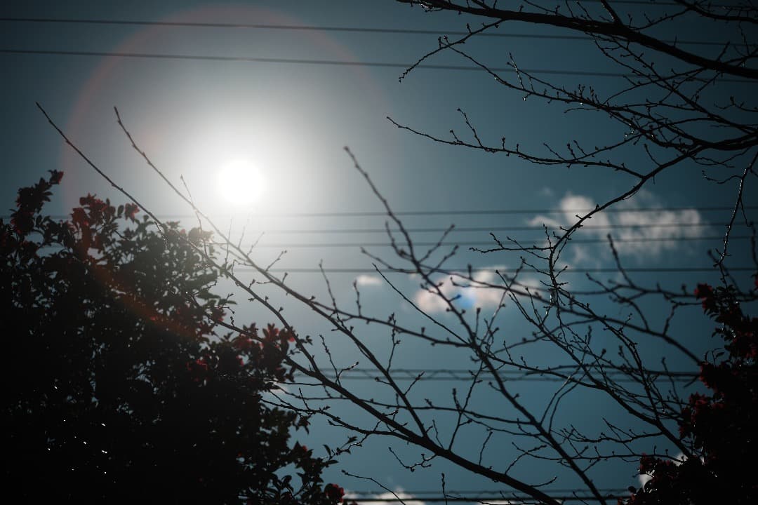 【整備＆テスト済】 AF Nikkor 70-210mm F4-5.6 561