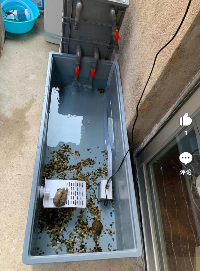 お任せ濾過材2段付き 池水槽用万能フィルター 最強濾過槽　外部式飼育濾過器装置