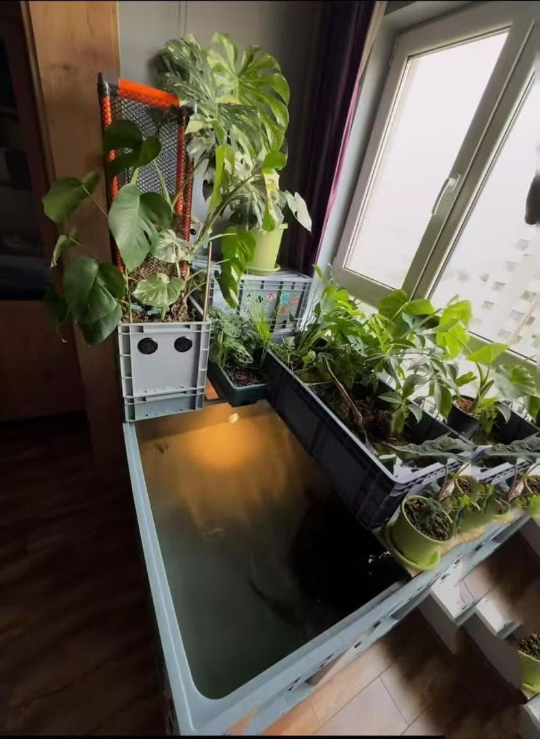 お任せ濾過材2段付き 池水槽用万能フィルター 最強濾過槽　外部式飼育濾過器装置