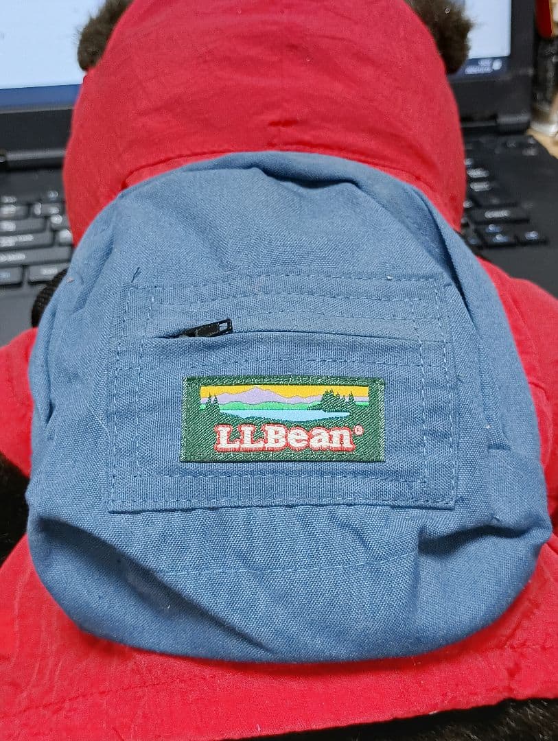 LL BEAN /LLベア