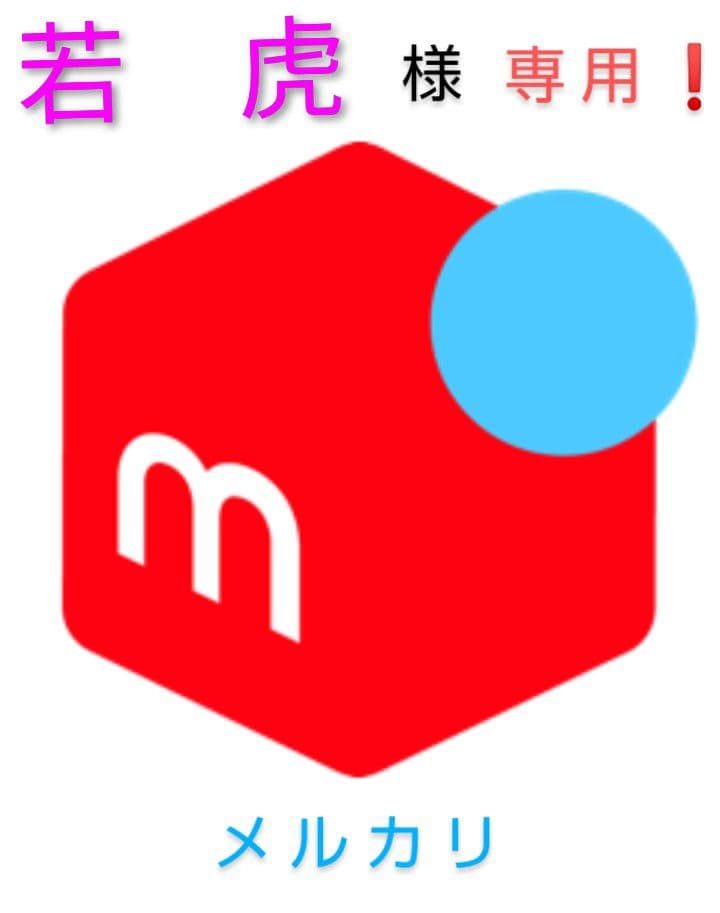 ケンウッド製　DSP-100　無線機用デジタルシグナルプロセェッサー