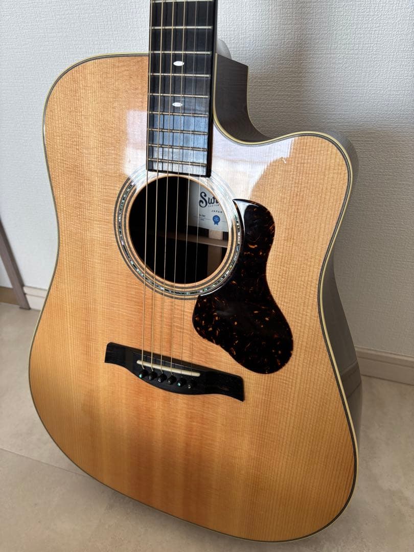 【値下げ】Switch D-70C（純正ギグバッグ付き）美品