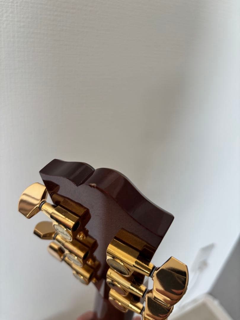 【値下げ】Switch D-70C（純正ギグバッグ付き）美品