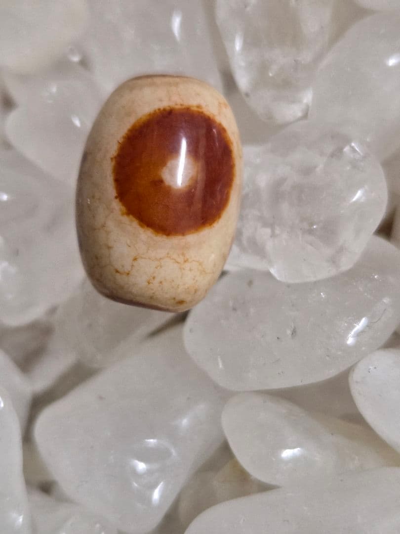 043　天珠４点セット！線珠　蓮花　黄龍眼　日月星　dzibeads！