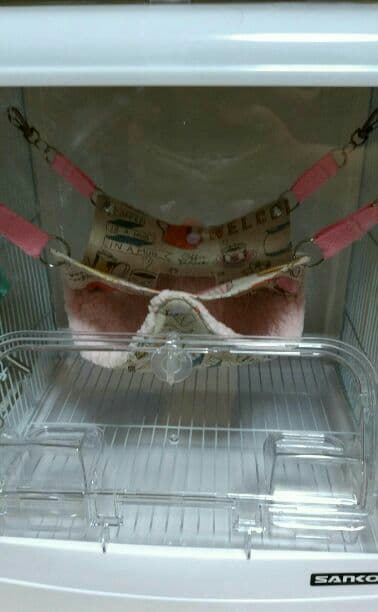 モモンガハウス(カフェ柄・綿麻) ボアピンク   大きいサイズ(家族用)