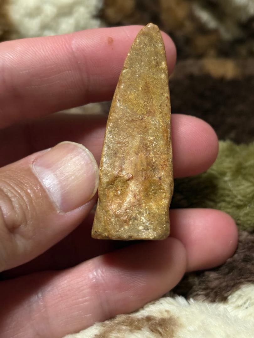 スピノサウルス　フットフロウ　化石