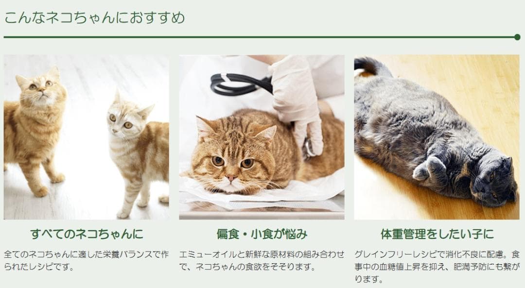 大特価　ネイチャーズテイスト 　グレインフリー 　マッカレル＆サーモン