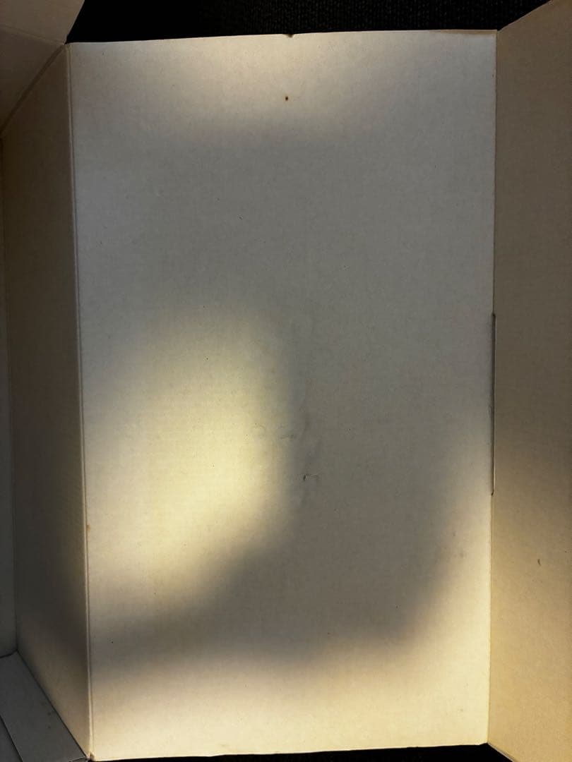 シュタイフ ベートーヴェン テディベア 2010年製 限定1500体 箱付き！