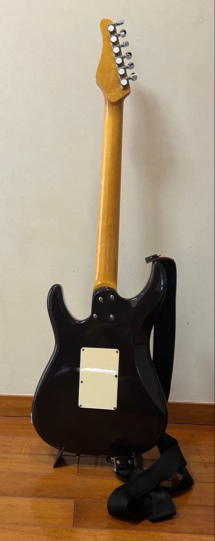 Schecter SD-2-24 美品 PU交換済(中古ダンカン、ディマジオ