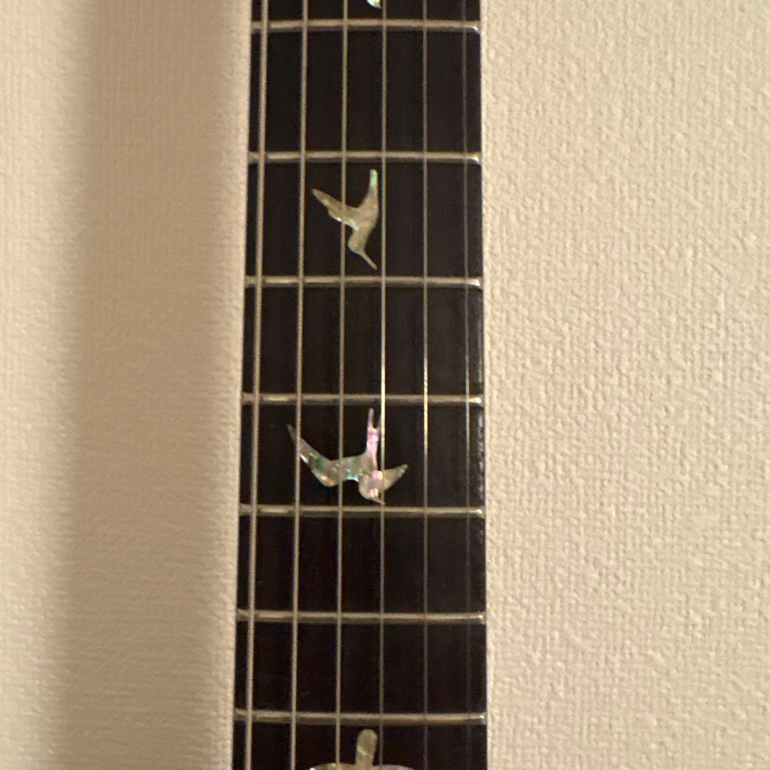 lew様　PRS custom24 コリーナ　10top 光栄堂選抜品