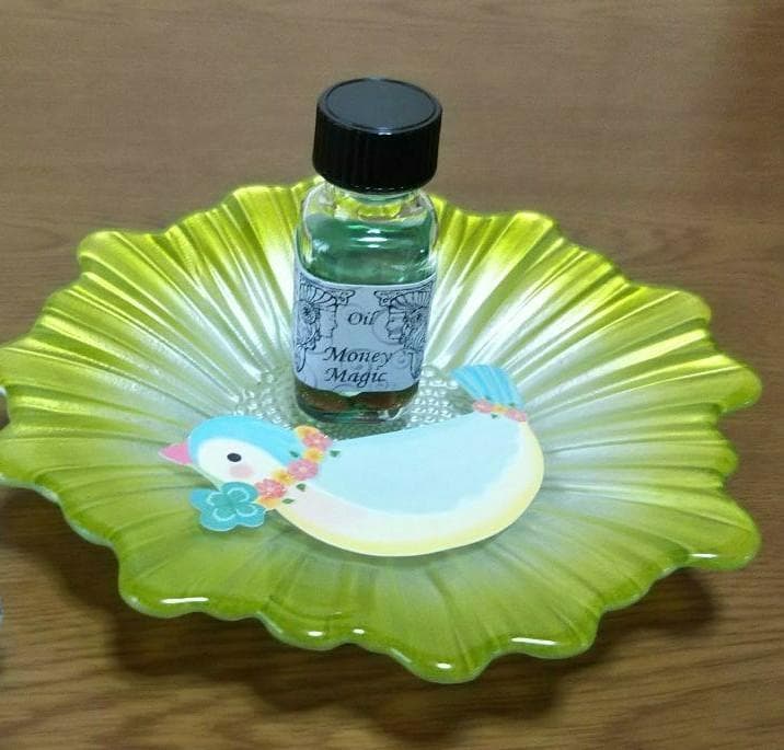 【未使用品】コーチ 財布 フローラルアップリケ 花 二つ折り 金運アップおまけ付