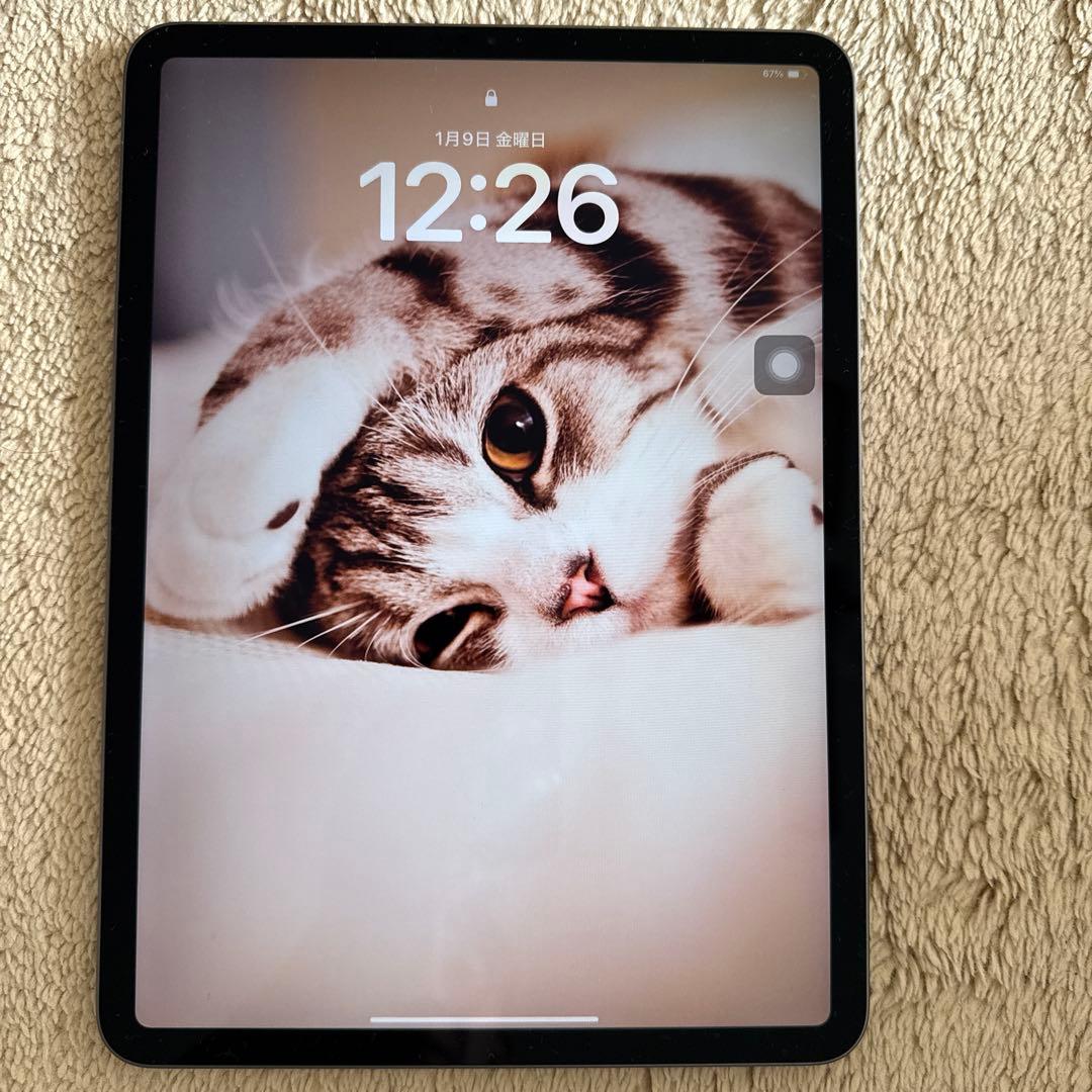付属品完備美品iPad Pro11インチ（第2世代）128GB Wi-Fiモデル