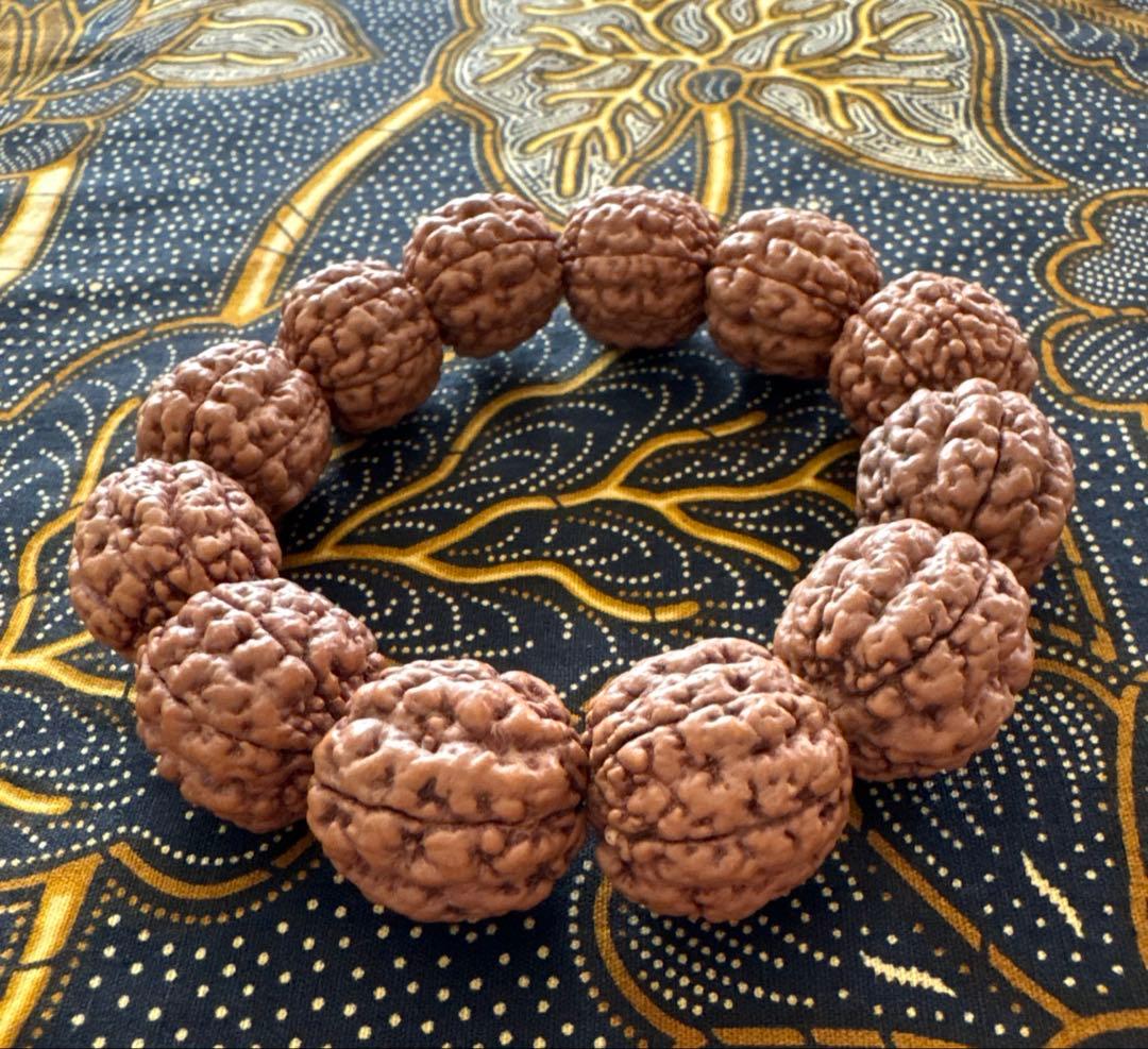 コッコブライド　ルドラクシャシナールブレスレット