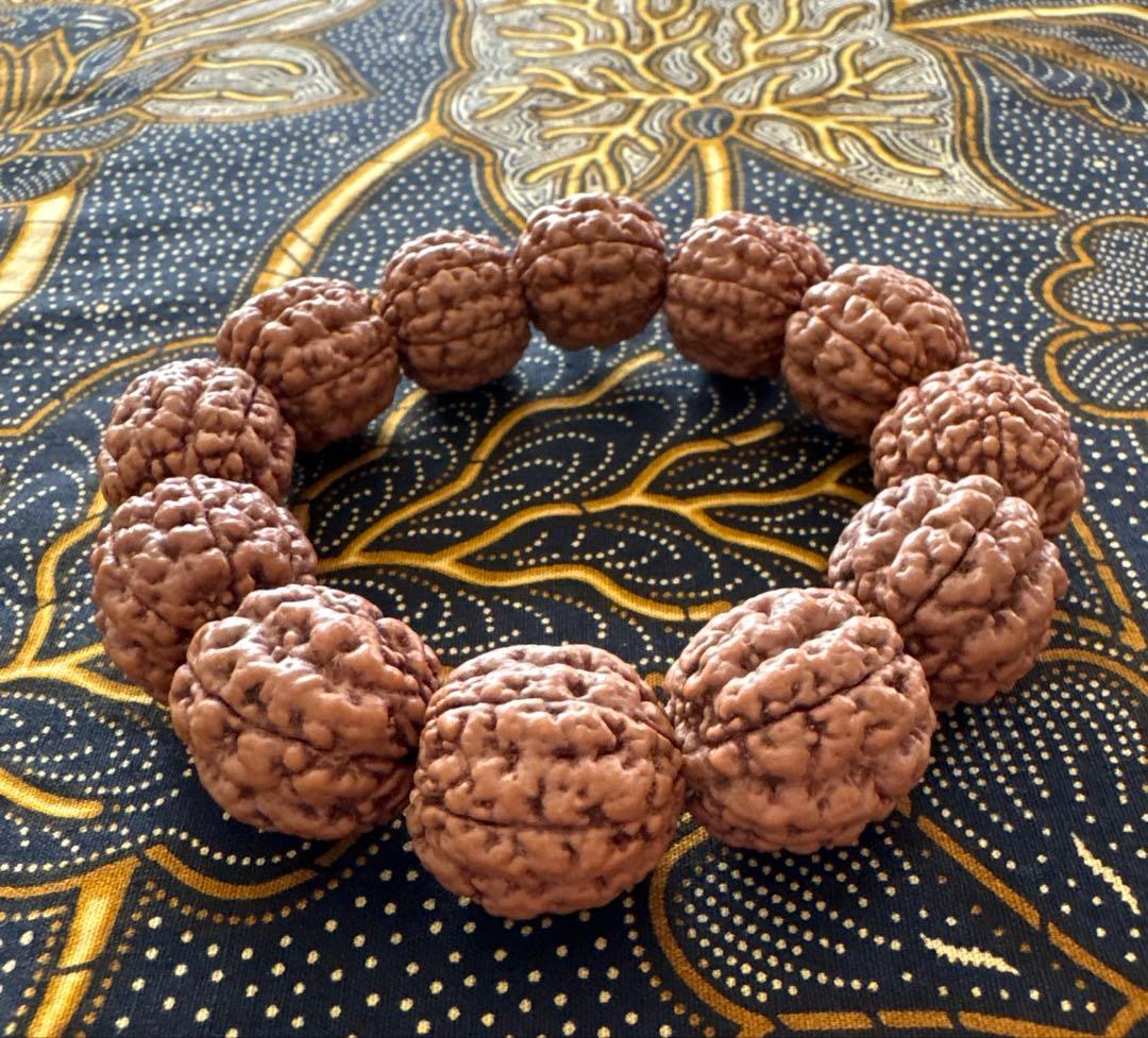 コッコブライド　ルドラクシャシナールブレスレット