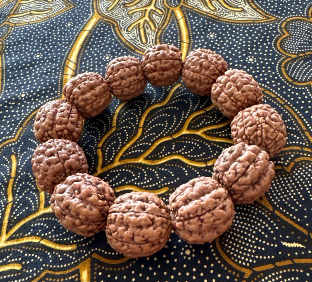 コッコブライド　ルドラクシャシナールブレスレット