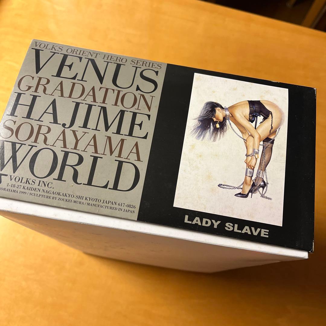 VENUS GRADATION HAJIME SORAYAMA WORLD空山基