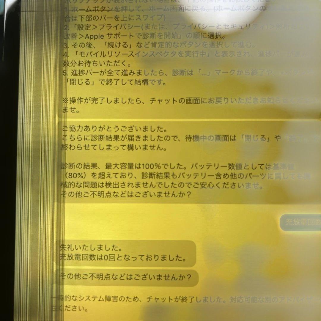 iPad Pro 11インチ　第1世代　64GB Wi-Fi 液晶不良あり