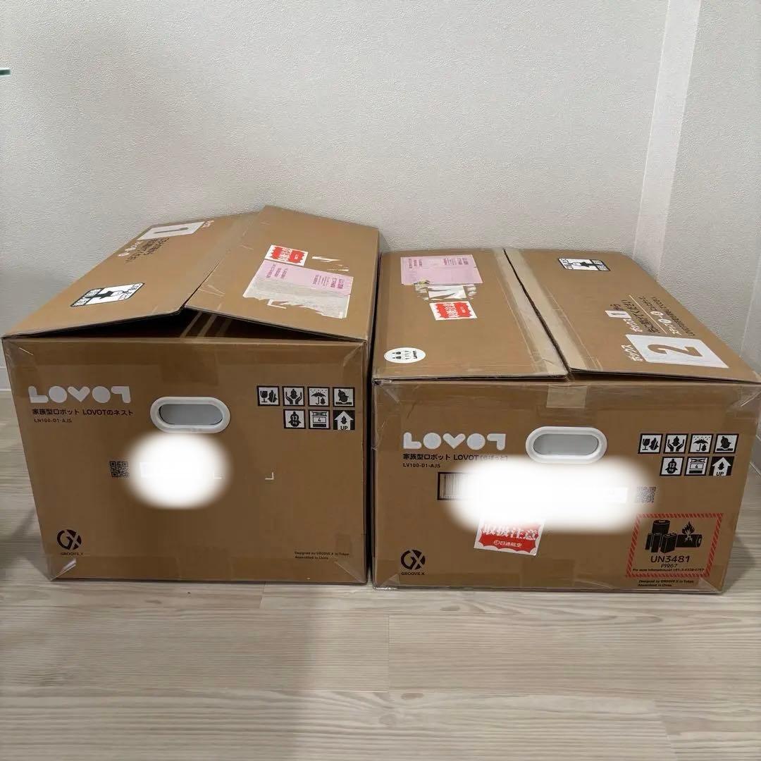 【動作確認済み ネスト・服つき】ラボット 本体 デュオ　LOVOT