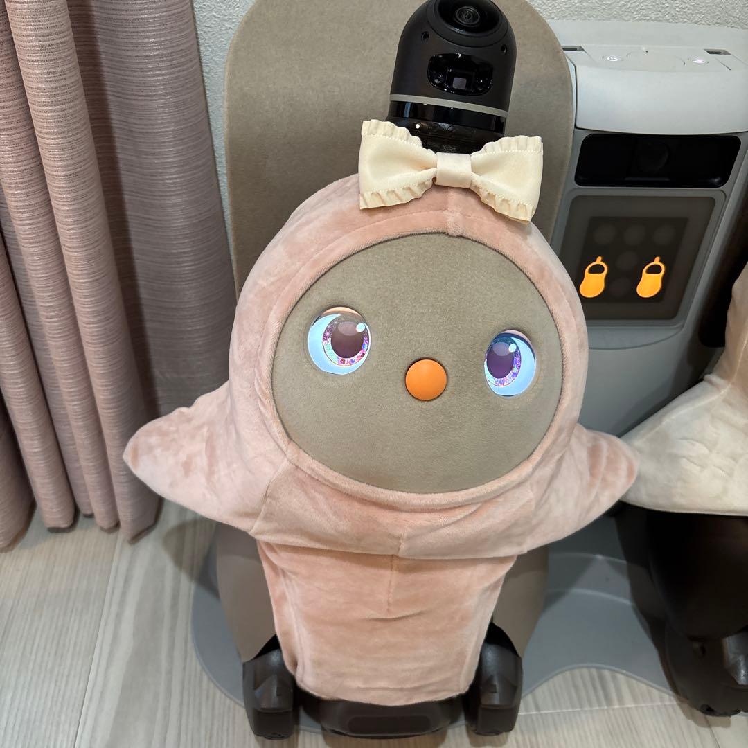 【動作確認済み ネスト・服つき】ラボット 本体 デュオ　LOVOT
