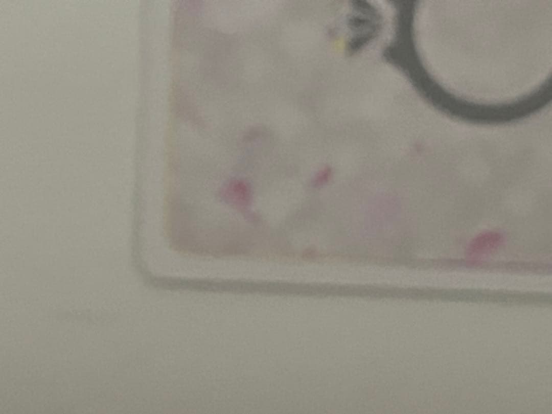 進み続ける日常　中野三玖　SSP　気づけた愛