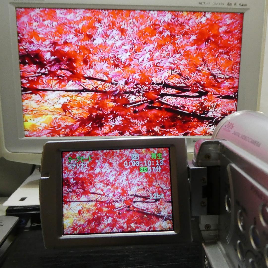 動作良好 キャノン DM IXY DV M3 MiniDVビデオ DVD化に最適