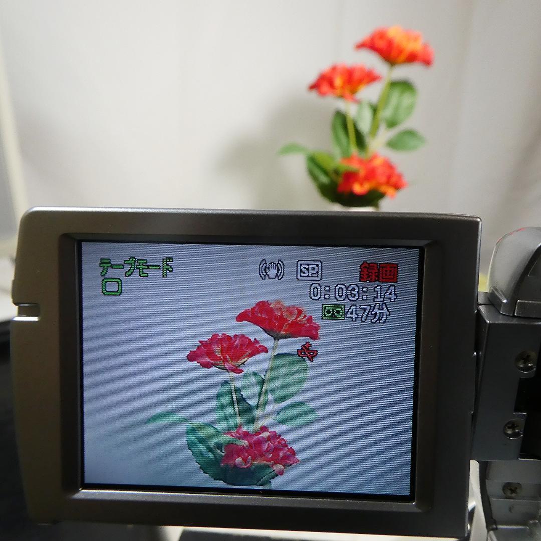 動作良好 キャノン DM IXY DV M3 MiniDVビデオ DVD化に最適