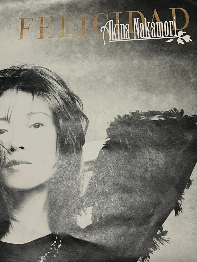 Akina Nakamori ポスター 二枚！