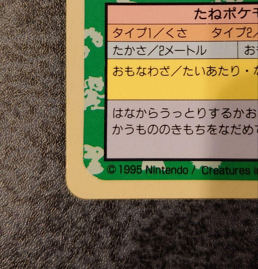 トップサン　フシギバナ エラー版　番号なし　裏青