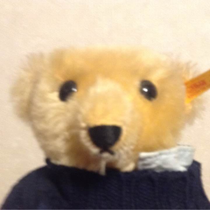 ぬいぐるみ Polo Bear