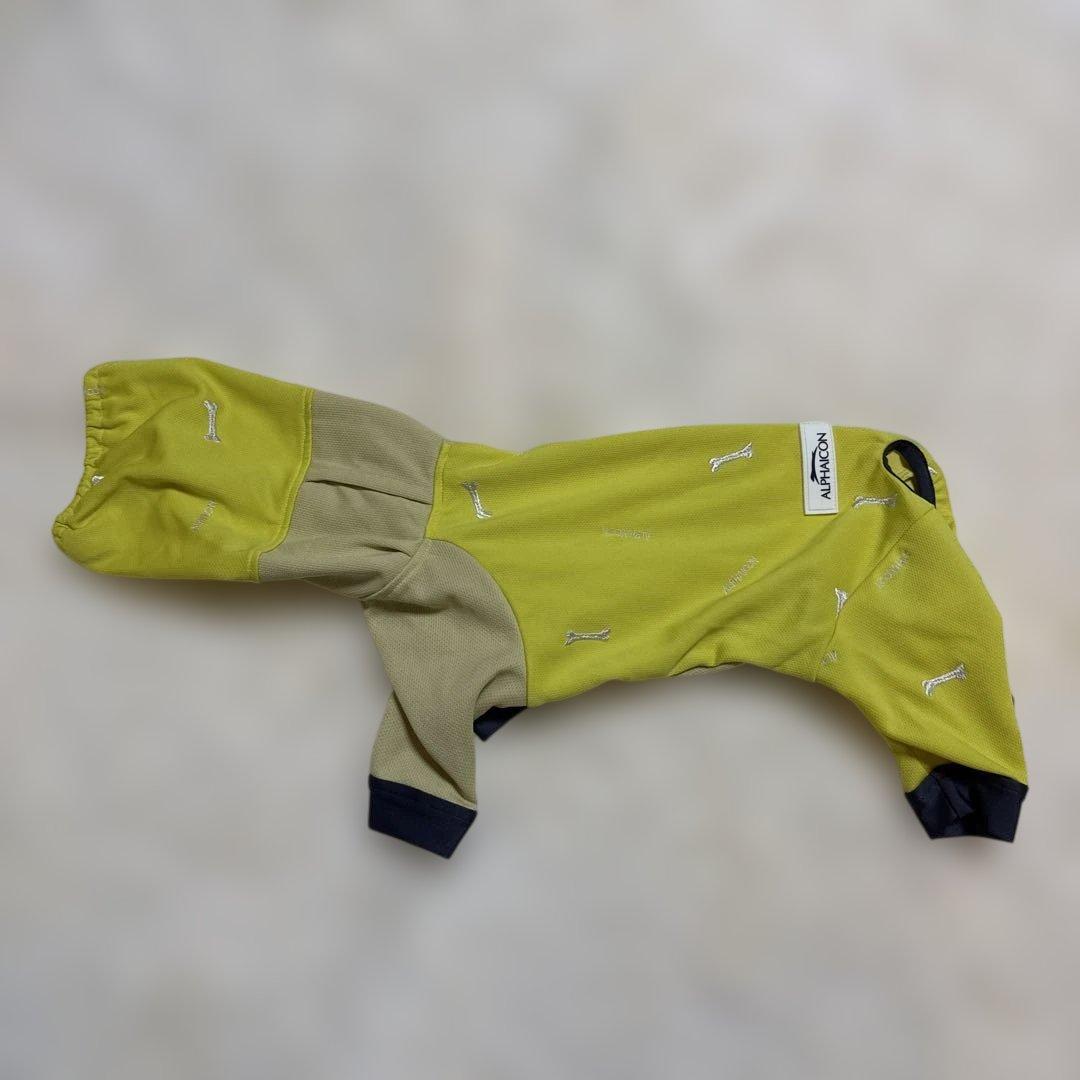 アルファアイコン ドッグガードクール バナナ