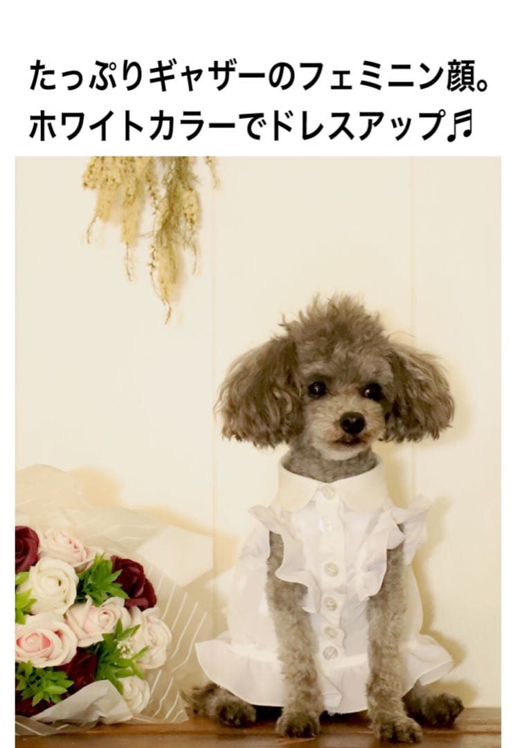 Atelier gg ホワイトプリンセス