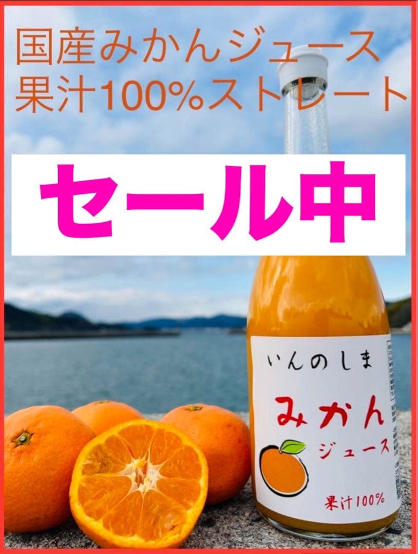 【セール中！】国産みかんジュース x12 / 果汁100％ ストレート 無添加