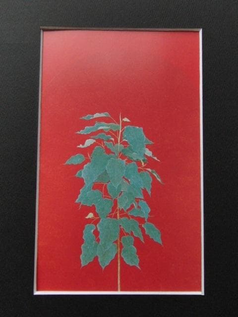 畠中光享、【仏のイメージ（菩提樹）】、希少な額装用画集より